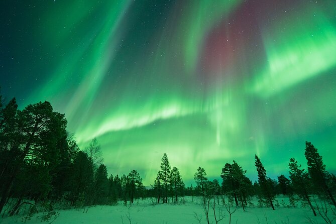 Northern Lights Hunt with The Green Adventure - photos included - Searching across Norway and possibly Finland