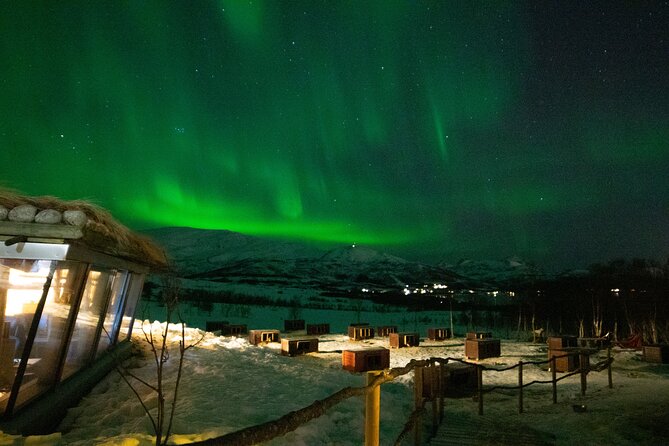 Northern Lights Husky Visit - Waiting for the Aurora Borealis