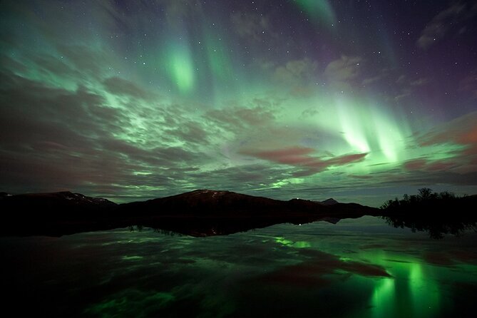 Northern Lights Husky Visit - Is the $193.27 price fair?