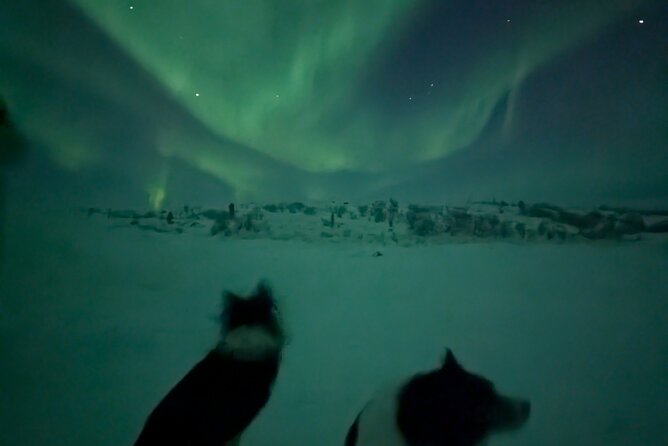 Northern Lights Minibus Chase Max 16 Person In Group - How the Alta aurora chase unfolds after 8:00 pm