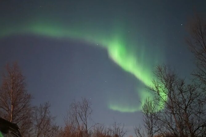 Northern Lights Minibus Chase Max 16 Person In Group - Is $215.75 fair for four hours?