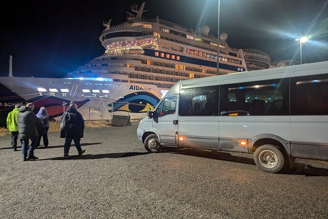 Northern Lights Minibus Chase Max 16 Person In Group - Who should book this Northern Lights outing?