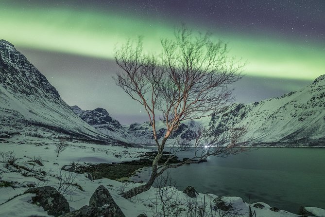 Northern Lights Private tour with your special ones - Greenlander - Why this Tromsø aurora chase feels different