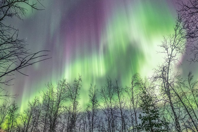 Northern Lights Private tour with your special ones - Greenlander - Is $2,558.88 good value?