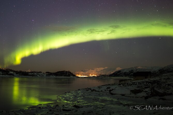 Northern Lights Safari from Tromso - Who should book this northern lights safari?