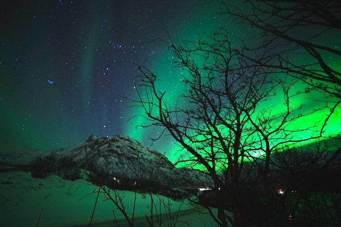 Northern lights - TeslaX Ecofriendly Car - Warm drinks, snacks, and winter comfort
