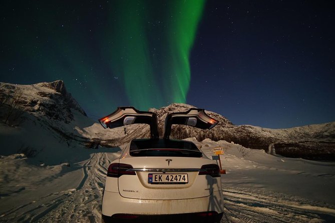 Northern lights - TeslaX Ecofriendly Car - The cancellation risk you should take seriously
