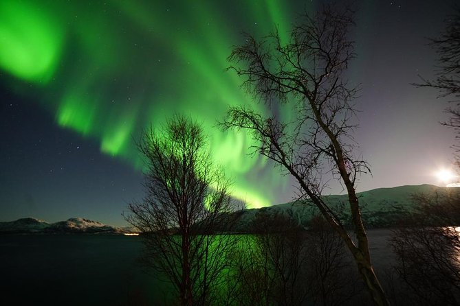 Northern lights - TeslaX Ecofriendly Car - Who will get the most from this tour?