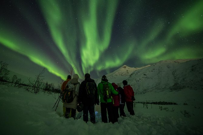Northern Lights Tour from Tromsø - Thermal suits, boots, and camera help