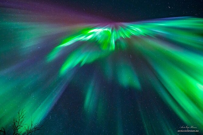 Northern Lights Tour, Photo, Toilet, Meal, Skycam in Mbus - Starting at Ami Hotel with warm gear