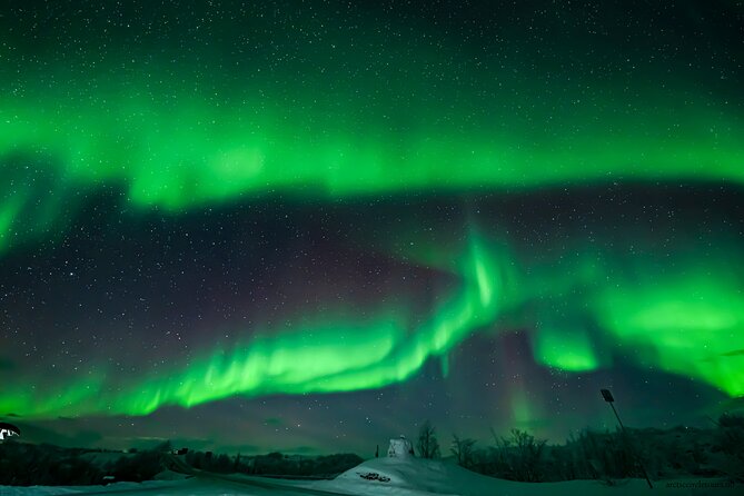Northern Lights Tour, Photo, Toilet, Meal, Skycam in Mbus - Getting photos under the aurora