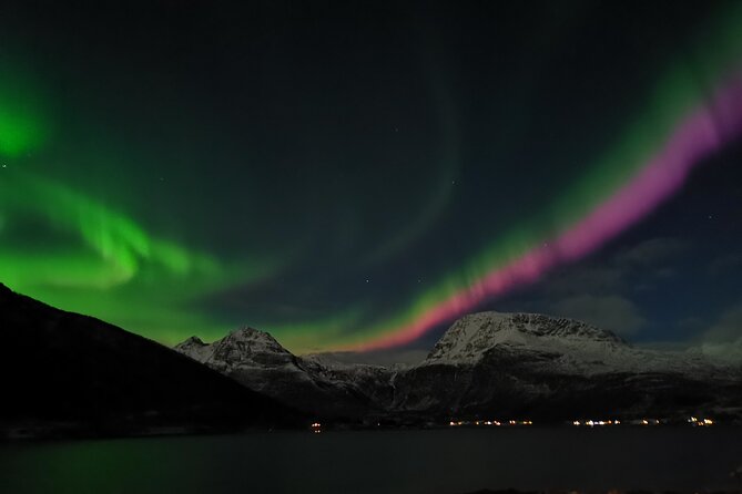 Northern Lights Tour, Tromso, Local Guide, Private Basecamp - Key points to know before booking