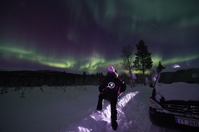 Northern Lights tour with Alta Adventure - A northern-lights hunt, not a fixed outdoor show