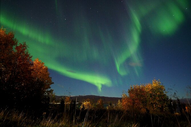 Northern Lights tour with Alta Adventure - Who will enjoy this outing most