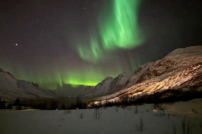 Northern Lights Tour with Hot Food and Drinks in Tromso - Why the guide matters so much