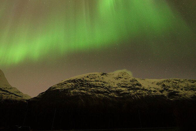 Northern Lights Tour with Local Guide and Photos - The return to Tromsø