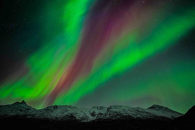 Northern Lights Tour with small group of 8 people - Why this is an aurora chase, not a sightseeing loop