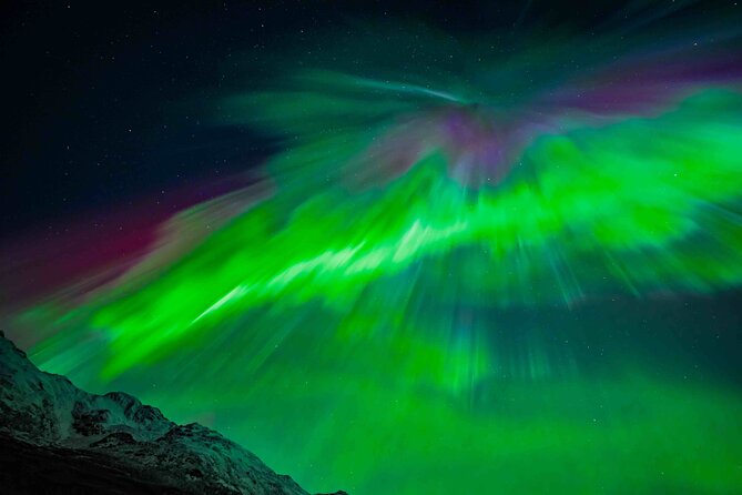 Northern Lights Tour with small group of 8 people - Is $241.18 good value?
