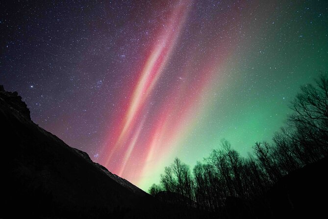 Northern Lights Tour with small group of 8 people - Finding the dark spot