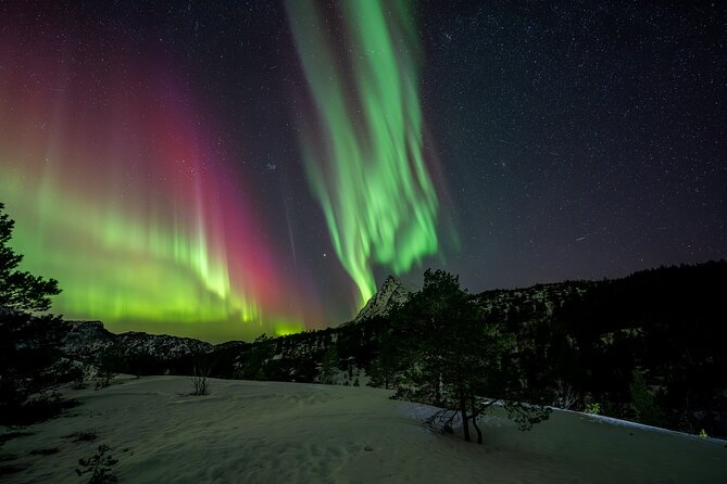 Northern Lights Tours Bodo Norway - The real value of the $223.73 price