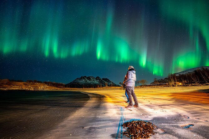 Northern Lights Tours Bodo Norway - Prepare for a long Arctic night