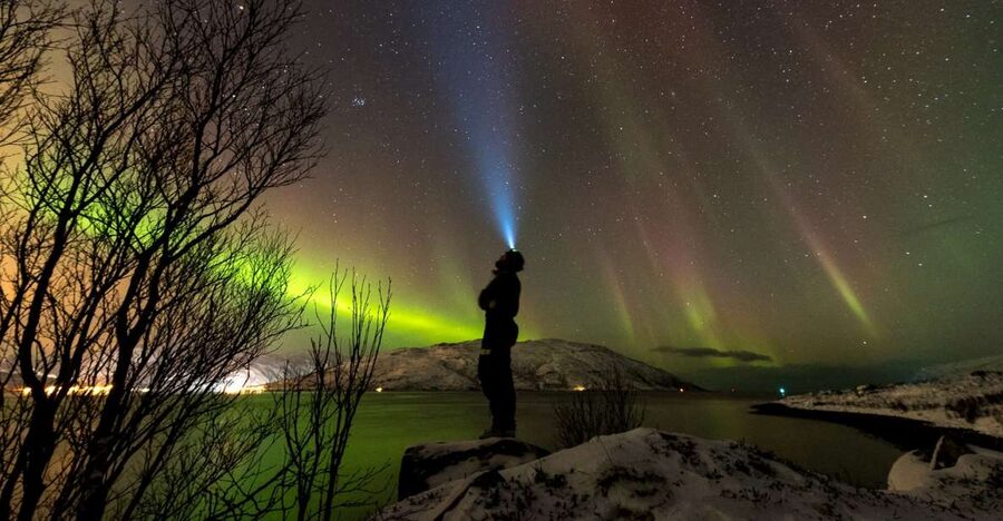Northern lights Tromsø - small group tour with local guide - The real value of $271
