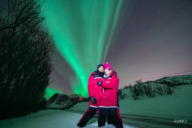 Northern Lights x Mini Bus Chase - Key points before you book