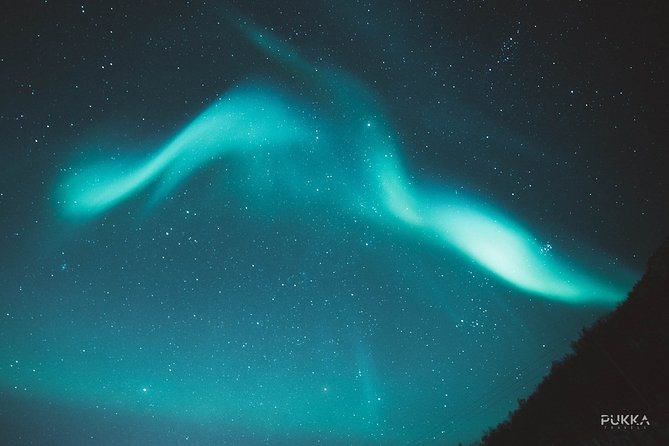 Northern Lights x Mini Bus Chase - Who will enjoy this Tromsø evening