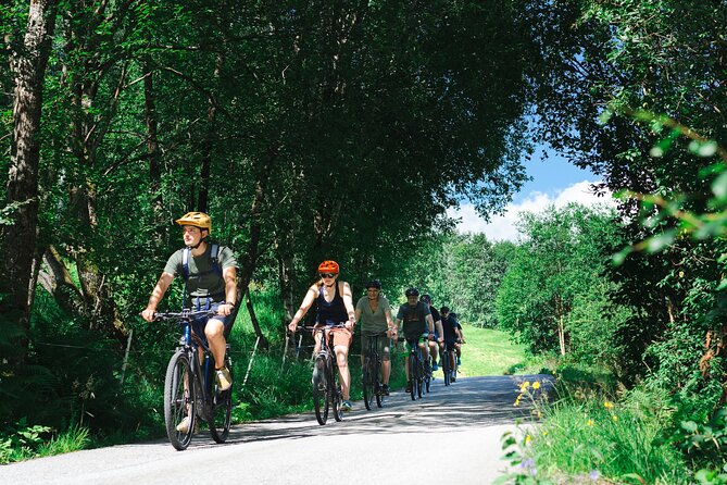 Olden: Fjord e-bike tour - Key points to know before you ride