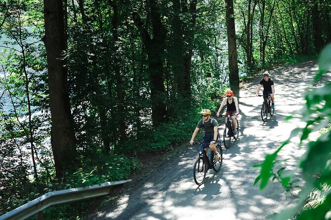 Olden: Fjord e-bike tour - Why an e-bike is a smart way to see Olden
