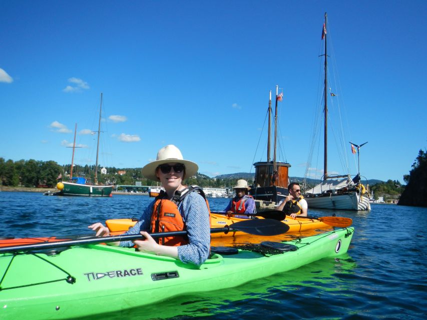 Oslo: 3-hour Kayaking Trip on the Oslofjord - Should you book the Oslofjord kayak tour?