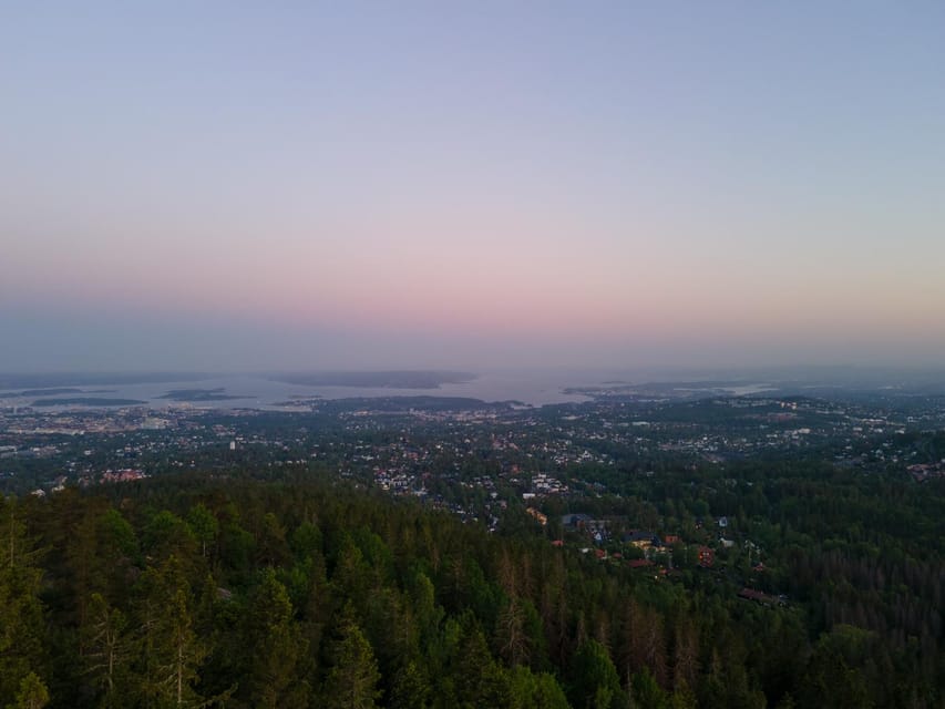 Oslo: Best View of the Oslofjord Hike - The hike back and what the timing means
