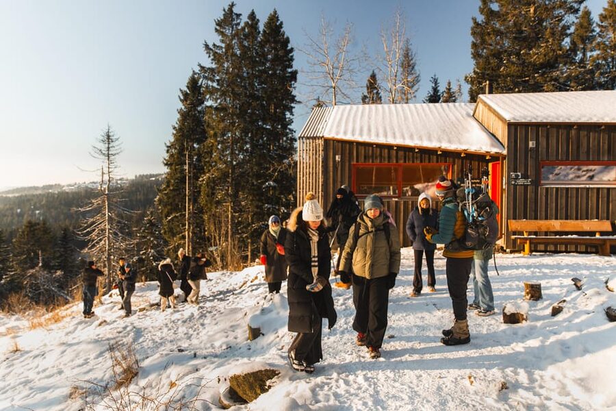 Oslo: Best View of the Oslofjord Winter Edition - What the four hours are really buying you