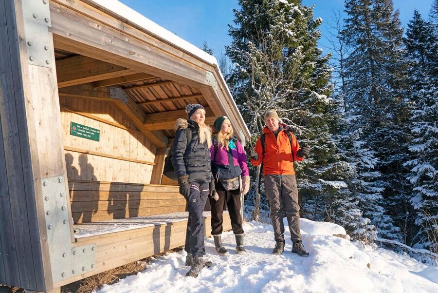 Oslo: Best View of the Oslofjord Winter Edition - Useful planning tips before you go