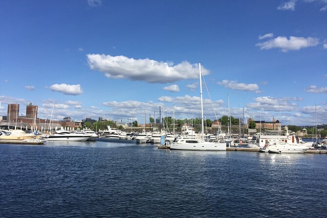 Oslo City Highlights with Fjord Cruise - Vigeland Park and the human story in stone