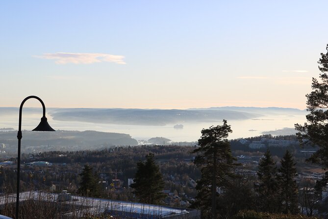 Oslo City Highlights with Fjord Cruise - The Oslofjord cruise: pretty, quiet, and easy to misunderstand