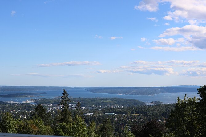 Oslo City Highlights with Fjord Cruise - What the $123.73 price really buys