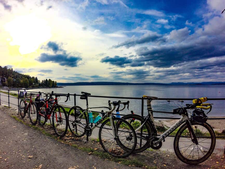Oslo El-Bike Panorama Tour - The Royal Palace adds a formal side of Oslo