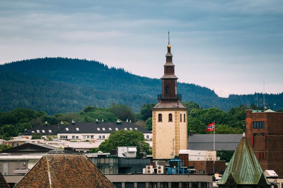 Oslo: Express Walk with a Local in 60 minutes - The Tiger adds a memorable piece of Oslo identity