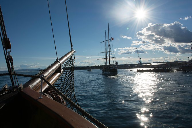 Oslo Fjord Evening Cruise with Shrimp Buffet on a Sailing Ship - What the shrimp buffet really includes