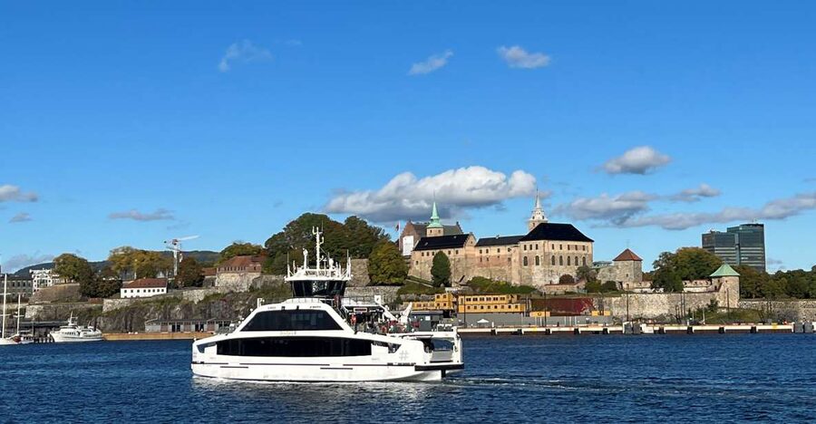Oslo: Guided Oslo Highlights Tour by bus & Oslofjord cruise - What the Oslofjord cruise really offers