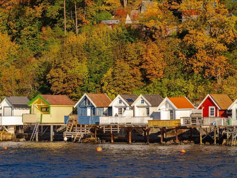 Oslo: Guided Sightseeing Fjord Cruise on Premium Silent Boat - Key points to know before you book