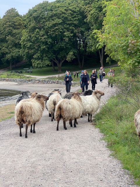 Oslo Island Walks: Island Hopping Tour - Hovedøya’s trails, shore, and Napoleonic defenses