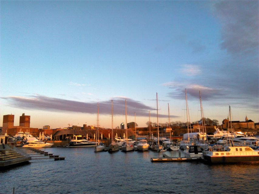Oslo Nature Walks: Island Hopping Tour - Why this Oslo island tour is worth your time
