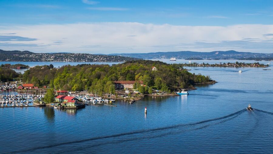 Oslo Nature Walks: Island Hopping Tour - Hovedøya: abbey stones, sheep pastures, and old cannons
