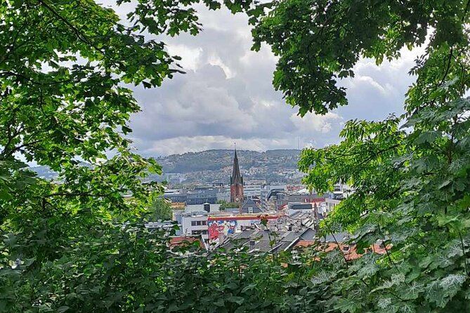 Oslo: Norwegian Food Tour & Hidden Gems City Walk - Who should book this experience