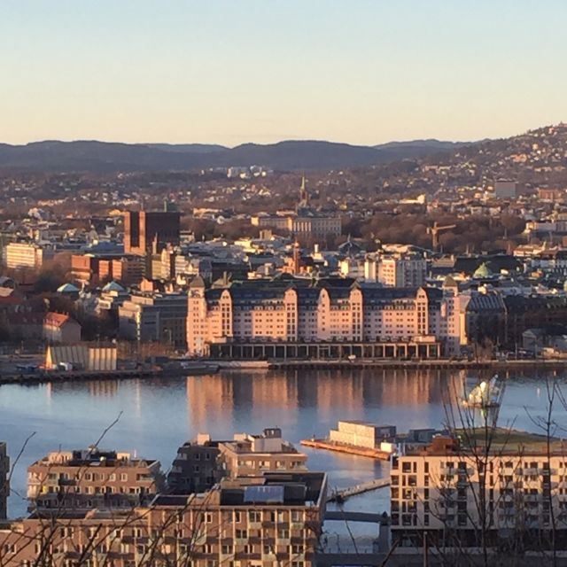 Oslo: Panoramic View and Sculpture Park Walk - A private vehicle makes the timing easier