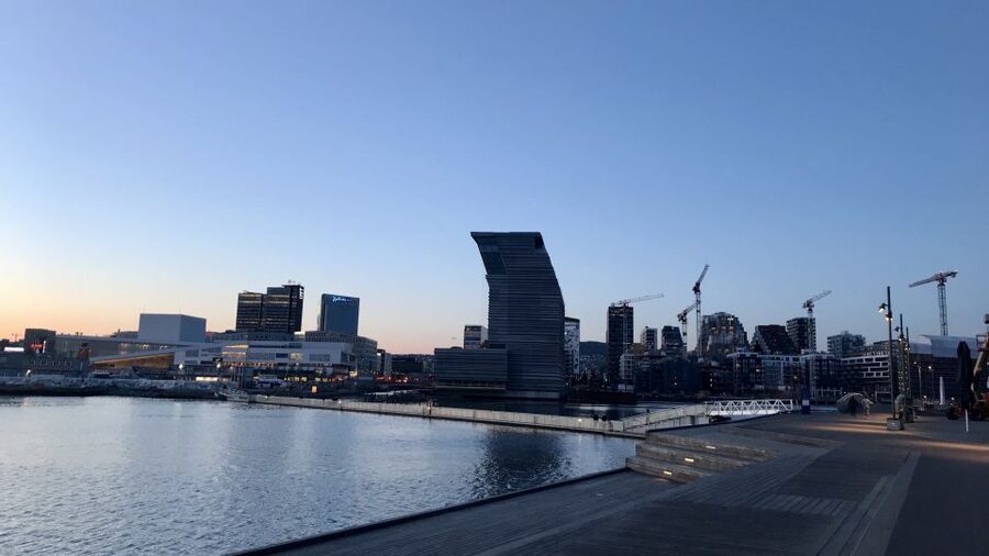 Oslo: Panoramic View and Sculpture Park Walk - The guide can shape the experience