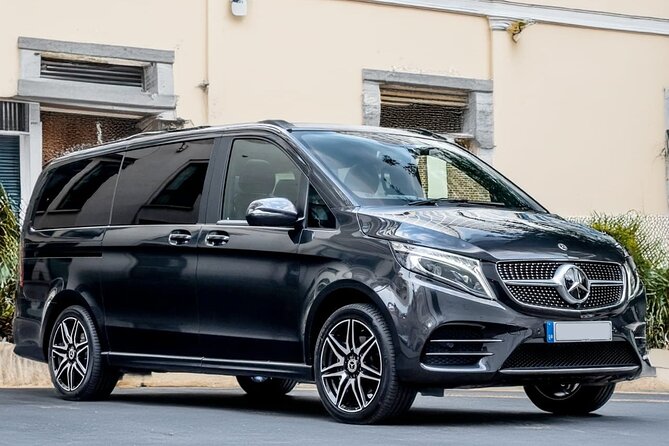 Oslo Private Transfer Between Gardermoen Airport and City - Who will get the most from this transfer?