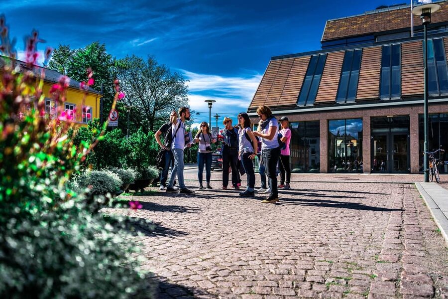 Oslo: Private Walking Tour - The National Theatre, University Square, and Karl Johans gate